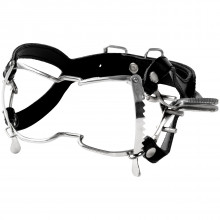 Teräksinen Whitehead Gag  1