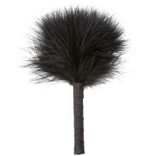 Baseks Höyhenkutitin  1