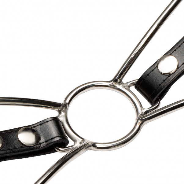 Cat Mouth Gag Teräksinen Suukapula  4