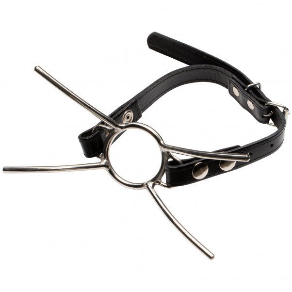 Cat Mouth Gag Teräksinen Suukapula  2