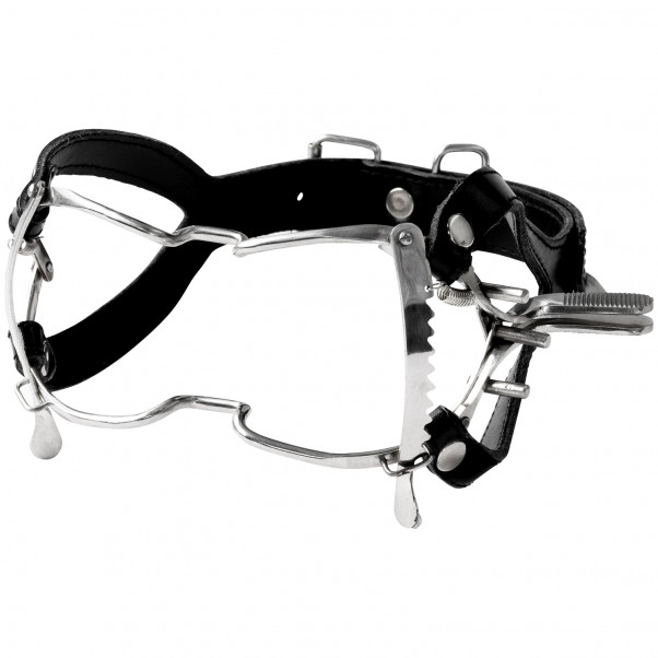 Teräksinen Whitehead Gag  1