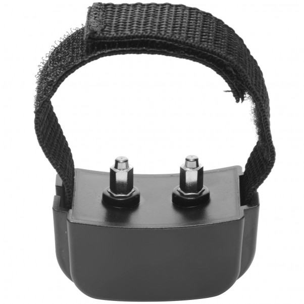 Master Series Cock Shock CBT E-stim Penisrengas  4