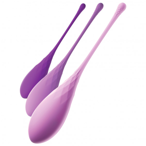 Fantasy for Her Kegel Train-Her Geishakuulasetti  2