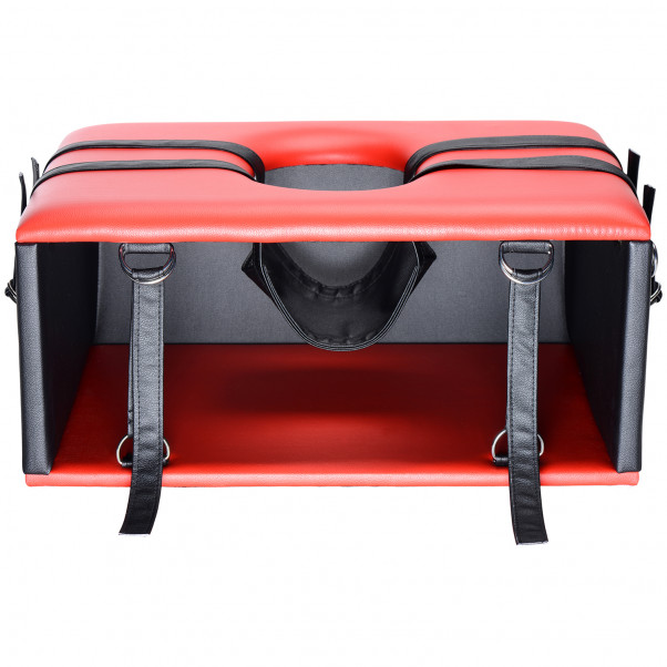 Master Series Queening Seksituoli  4