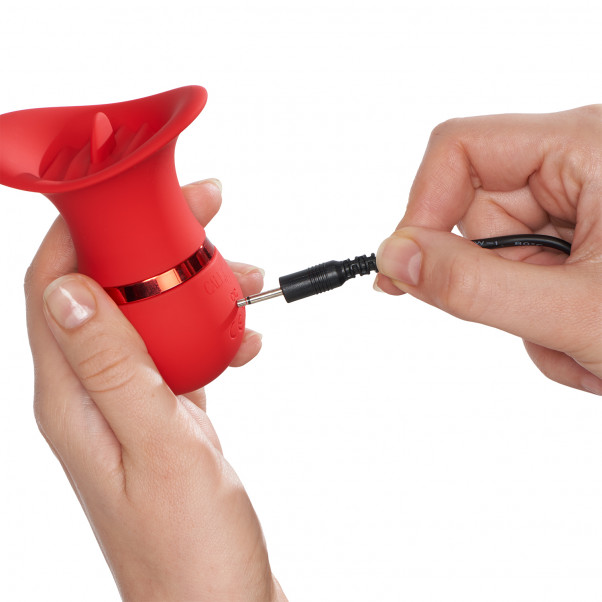 CalExotics French Kiss Charmer Vibrator tuote kädessä 51