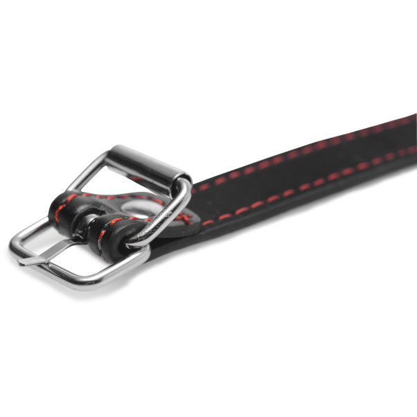 Master Series Hound Dog Bone Suukapula Tuotekuva 4