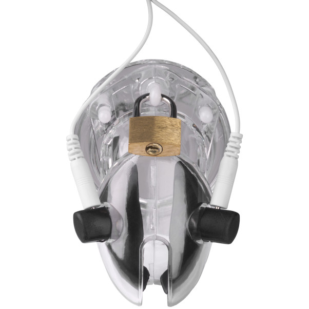 Brutus Electro Siveysvyö Tuotekuva 4