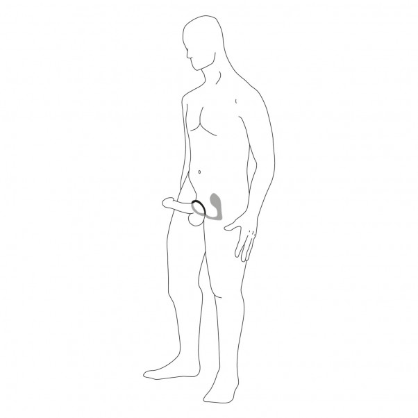 Anal Fantasy Elite Ladattava Ass-Gasm Pro kuva tuotepakkauksesta 10