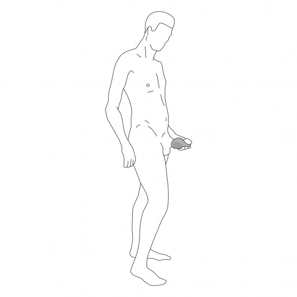 Hot Octopuss Pulse Duo Lux Penisvibraattori piirros 10