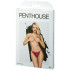 Penthouse Too Hot To Be Real Viininpunaiset Alushousut Kuva tuotepakkauksesta 90
