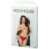Penthouse Too Hot To Be Real Punaiset Alushousut Kuva tuotepakkauksesta 90
