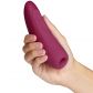 Satisfyer Curvy 1+ Sovelluksella Ohjattava Paineaaltokiihotin tuote kädessä 50