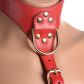 Strict Punainen Chest Harness Tuotekuva 3